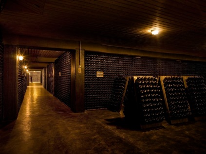 Ferrari winestudio cellars