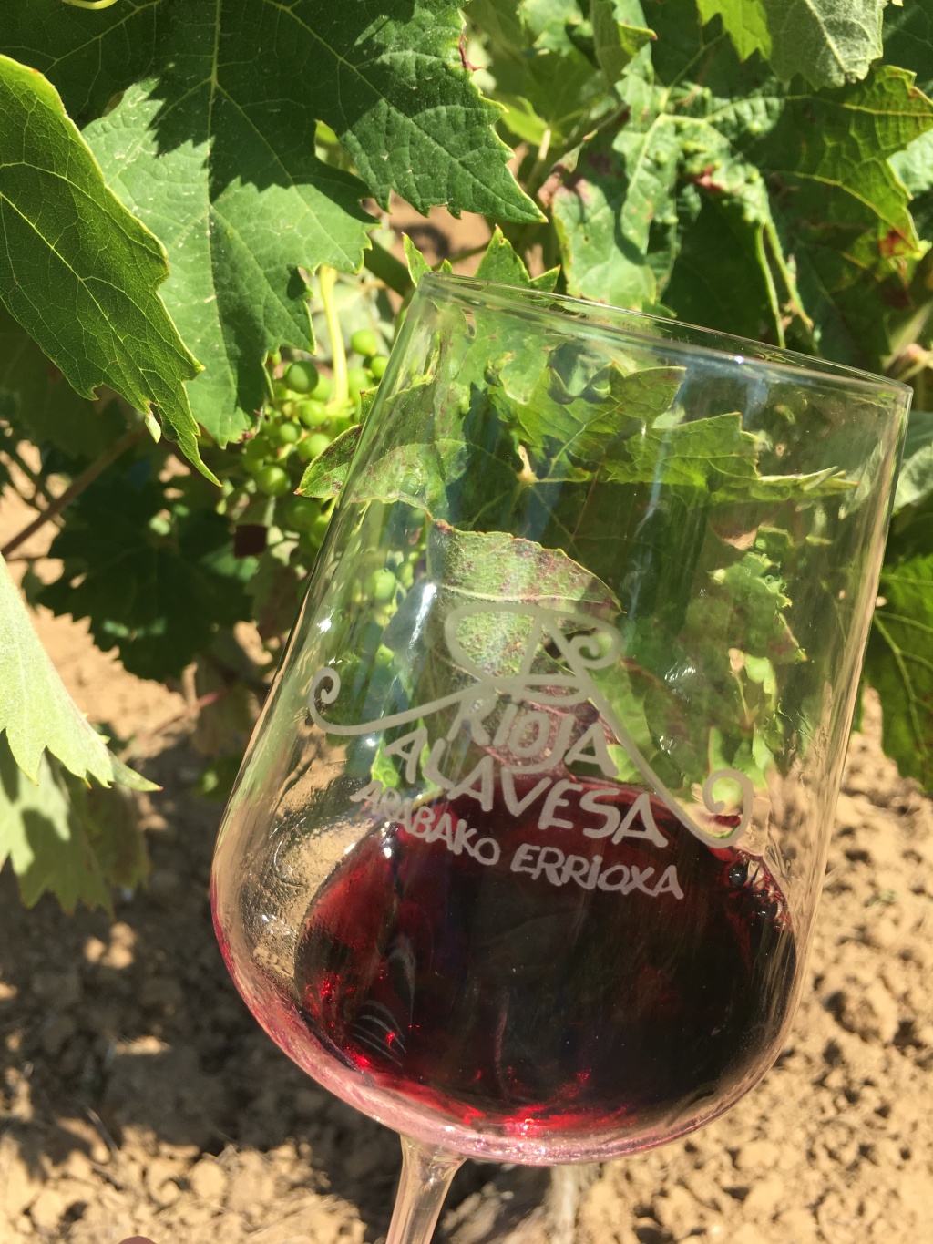 Rioja Alavesa: The Perfect Day