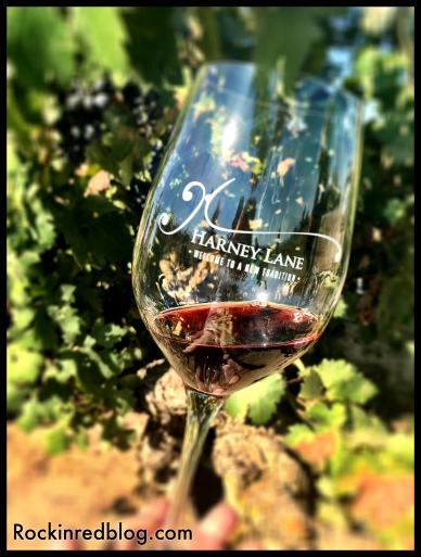 Drinking Harney Lane Lizzy James Vineyard Old Vine Zinfandel IN the Lizzy James Vineyard. How cool is that? 