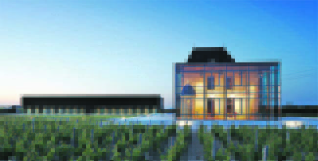How Château Pédesclaux Successfully Marries Tradition with Modernity in Bordeaux