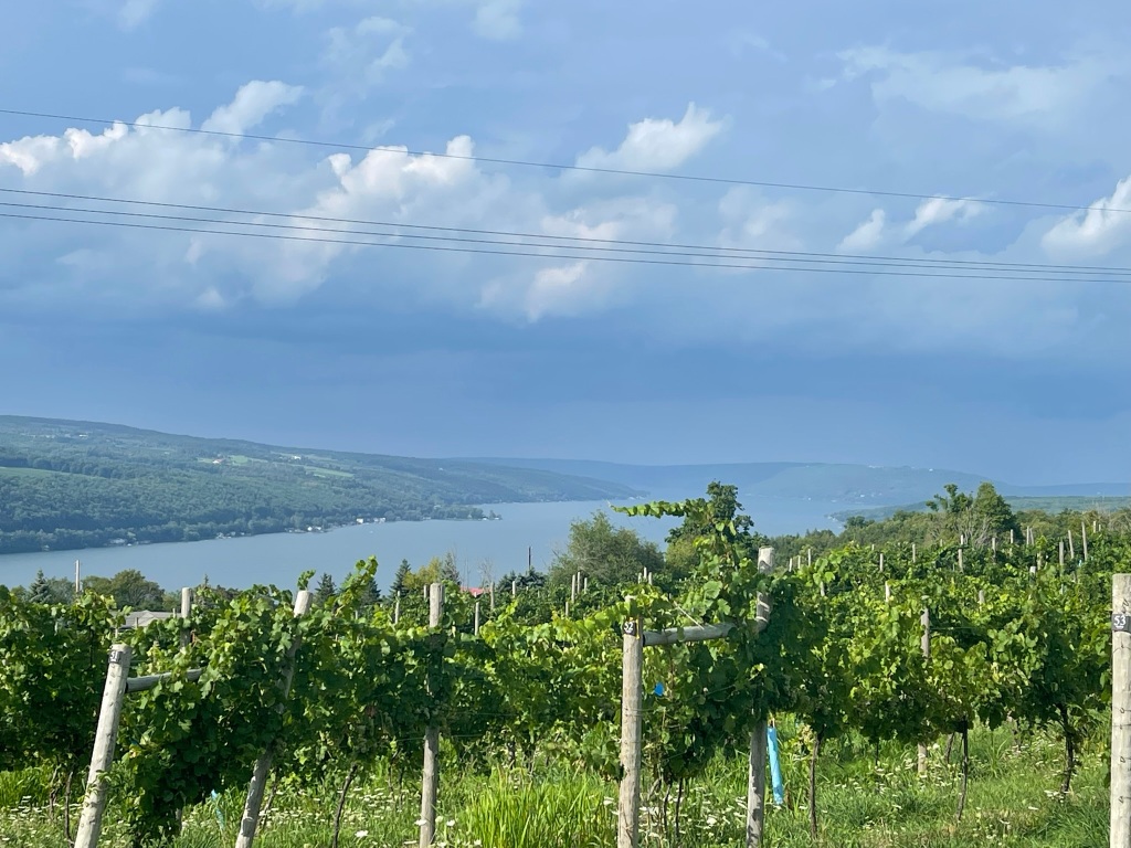 America’s Winemaking Past And Future Is Found In The Finger Lakes
